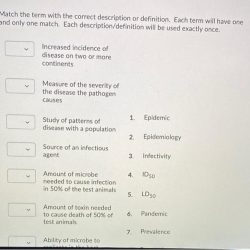 Definitions term selecting lo3