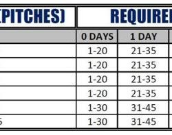 Lhsaa baseball pitch count rules