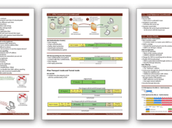 Professor messer practice exams pdf free