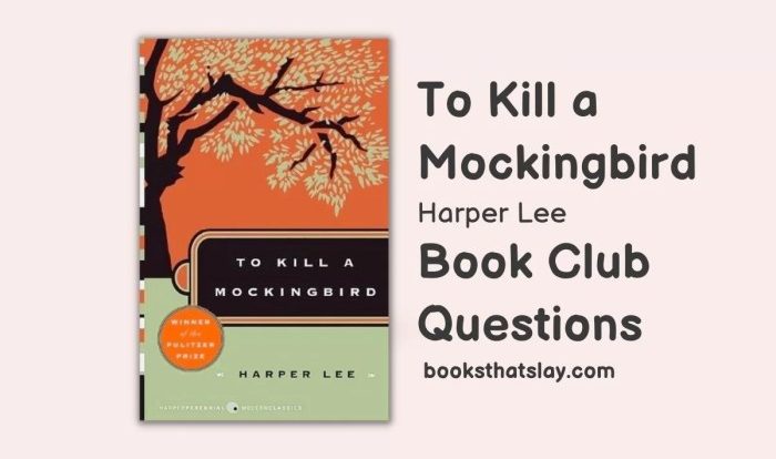 To kill a mockingbird book discussion questions