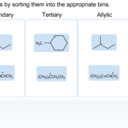 Radicals classify following sorting them bins into appropiate