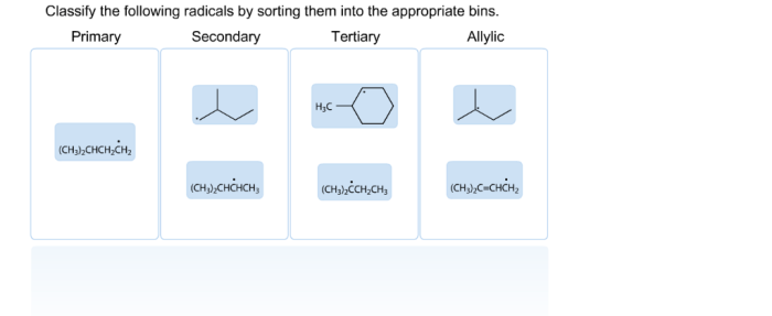 Radicals classify following sorting them bins into appropiate