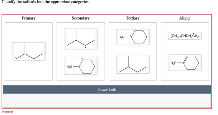 Classify the given radicals into the appropriate category.